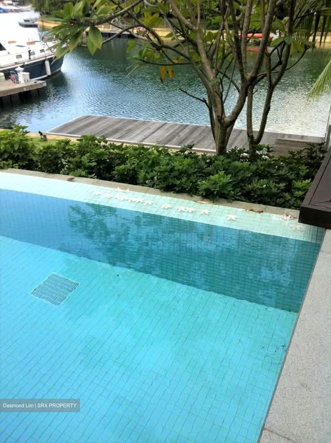 Coral Island (D4), Detached #540888581